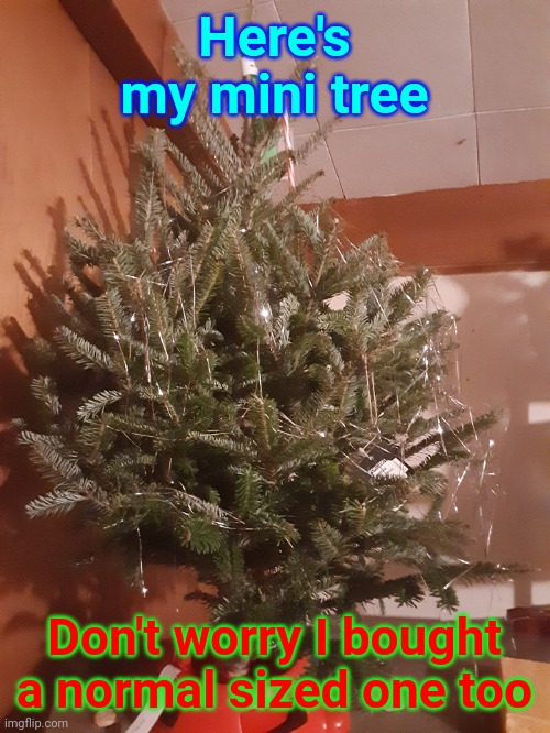 Here's my mini tree; Don't worry I bought a normal sized one too | made w/ Imgflip meme maker