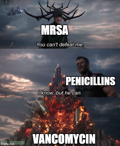 Vanco! | MRSA; PENICILLINS; VANCOMYCIN; THE_PILGRIM | image tagged in you can't defeat me,pharmacology,med school | made w/ Imgflip meme maker
