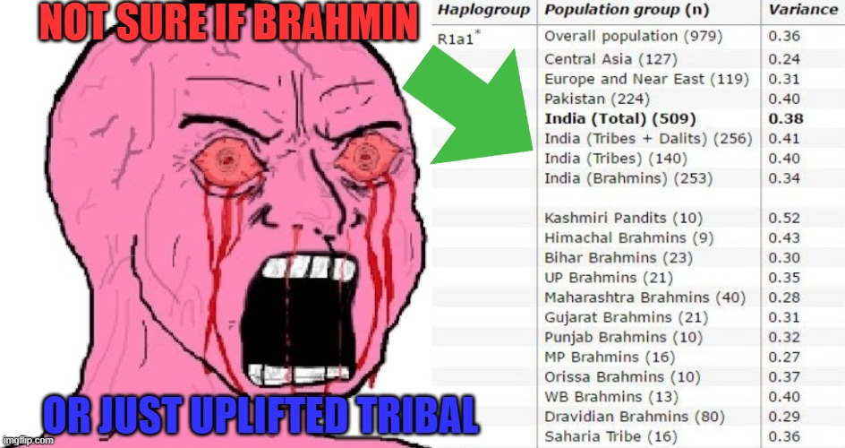 Not Sure If Brahmin Or just Uplifted Tribal | NOT SURE IF BRAHMIN; OR JUST UPLIFTED TRIBAL | image tagged in not sure if | made w/ Imgflip meme maker
