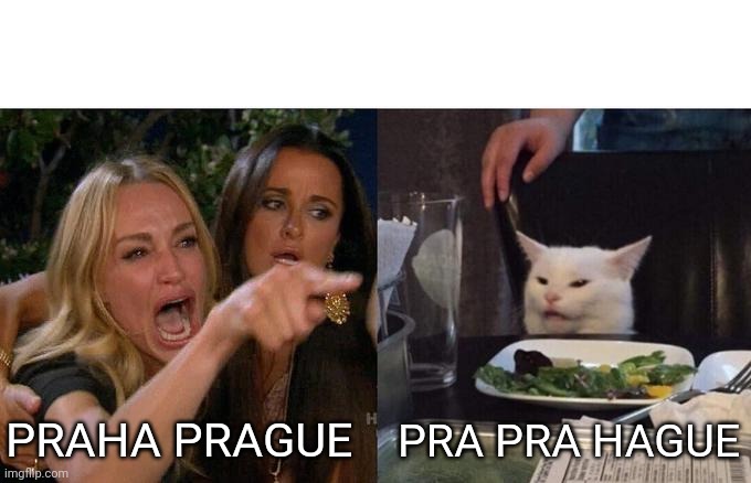 Woman Yelling At Cat Meme | PRAHA PRAGUE; PRA PRA HAGUE | image tagged in memes,woman yelling at cat | made w/ Imgflip meme maker