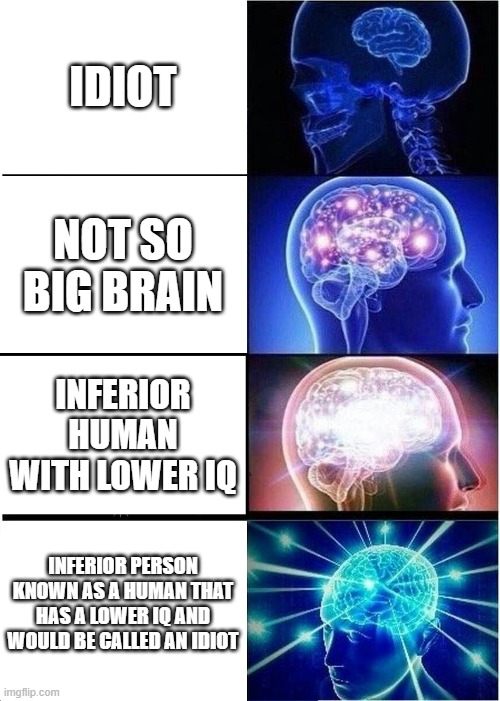 Expanding Brain | IDIOT; NOT SO BIG BRAIN; INFERIOR HUMAN WITH LOWER IQ; INFERIOR PERSON KNOWN AS A HUMAN THAT HAS A LOWER IQ AND WOULD BE CALLED AN IDIOT | image tagged in memes,expanding brain | made w/ Imgflip meme maker