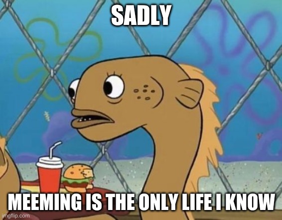 Not a Joke Eel |  SADLY; MEEMING IS THE ONLY LIFE I KNOW | image tagged in sadly i am only an eel | made w/ Imgflip meme maker