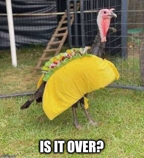 IS IT OVER? | image tagged in funny memes | made w/ Imgflip meme maker