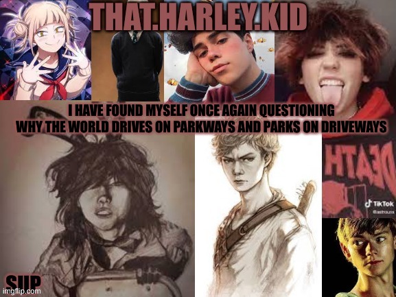 harley temp 2.0 | I HAVE FOUND MYSELF ONCE AGAIN QUESTIONING WHY THE WORLD DRIVES ON PARKWAYS AND PARKS ON DRIVEWAYS | image tagged in harley temp 2 0 | made w/ Imgflip meme maker