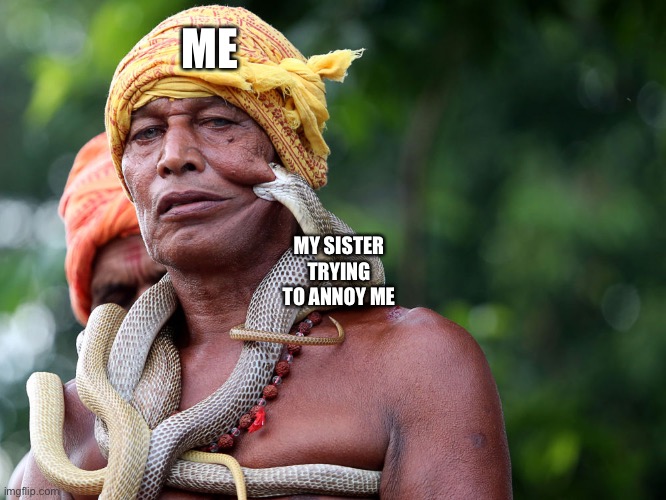 Snake biting man. | ME; MY SISTER TRYING TO ANNOY ME | image tagged in snake biting man,memes | made w/ Imgflip meme maker