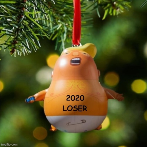 Trump Is A Loser | image tagged in trump is a loser,donald trump,crybaby trump,2020 election loser,donald trump the clown | made w/ Imgflip meme maker