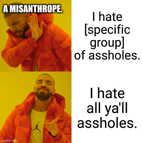misamthropy rules, racism drools. | A MISANTHROPE. I hate [specific group] of assholes. I hate all ya'll assholes. | image tagged in memes,drake hotline bling | made w/ Imgflip meme maker