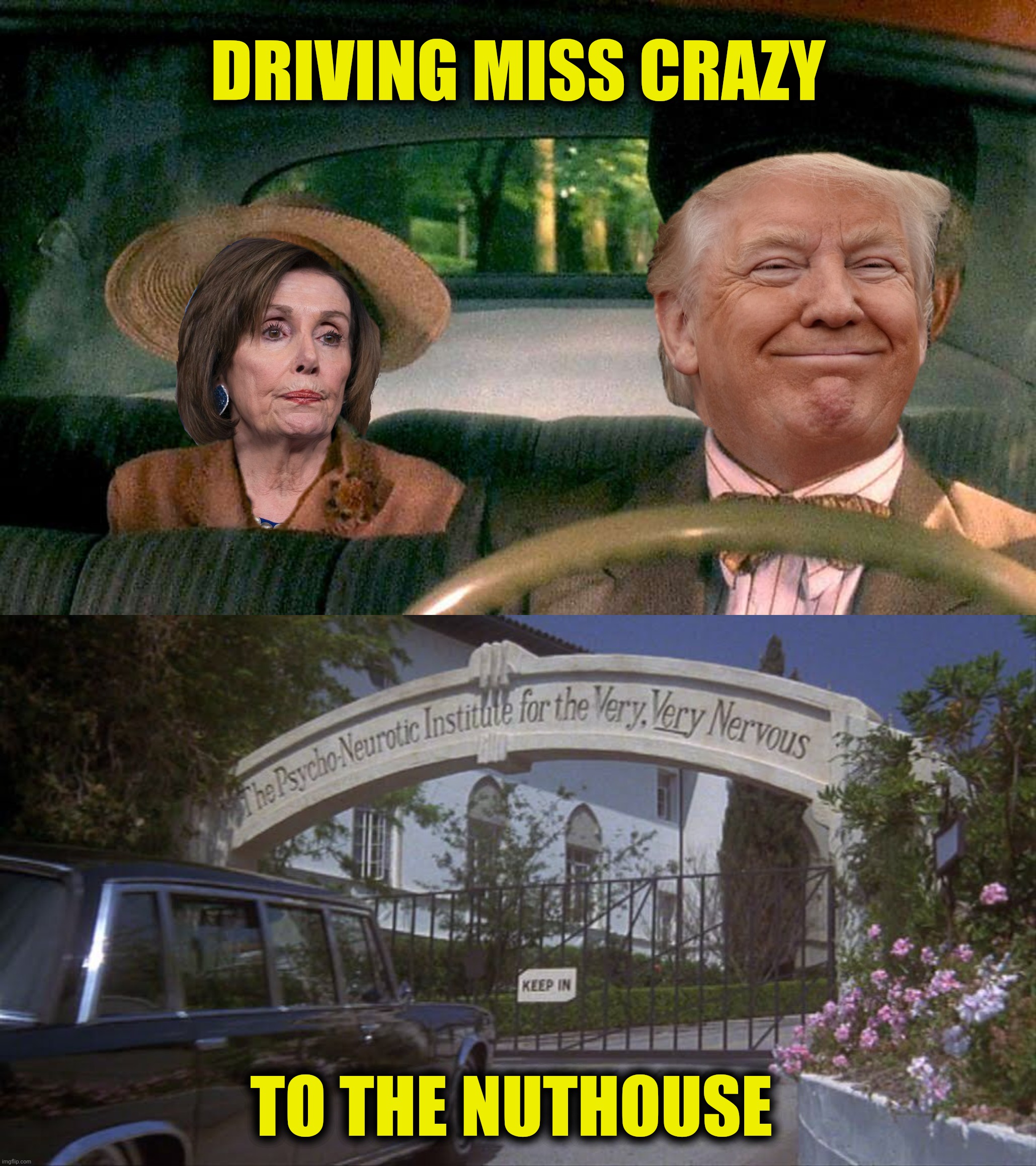 DRIVING MISS CRAZY TO THE NUTHOUSE | made w/ Imgflip meme maker