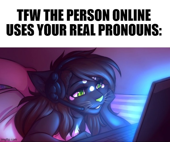 Don't lie, That's how you reacted first too | TFW THE PERSON ONLINE USES YOUR REAL PRONOUNS: | image tagged in tfw,memes,lgbtq,furry,cute | made w/ Imgflip meme maker