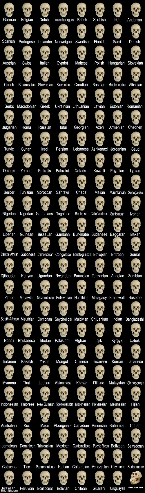 skulls Blank Meme Template