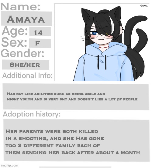 Orphanage faction file | Amaya; 14; F; She/her; Has cat like abilities such as being agile and night vision and is very shy and doesn’t like a lot of people; Her parents were both killed in a shooting, and she Has gone too 3 different family each of them sending her back after about a month | image tagged in orphanage faction file,orphanage faction | made w/ Imgflip meme maker