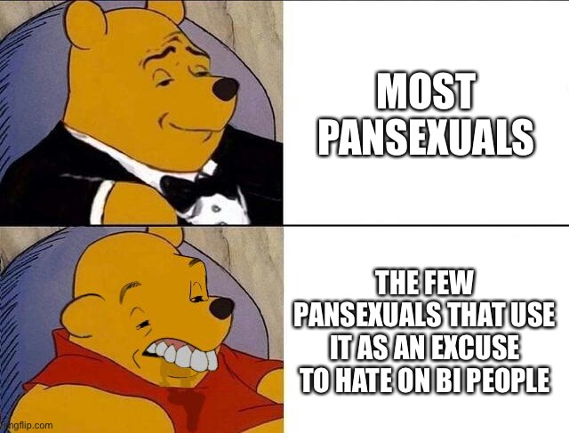 Tuxedo Winnie the Pooh grossed reverse | MOST PANSEXUALS; THE FEW PANSEXUALS THAT USE IT AS AN EXCUSE TO HATE ON BI PEOPLE | image tagged in tuxedo winnie the pooh grossed reverse | made w/ Imgflip meme maker