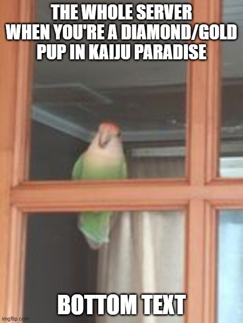 bird when | THE WHOLE SERVER WHEN YOU'RE A DIAMOND/GOLD PUP IN KAIJU PARADISE; BOTTOM TEXT | image tagged in bird,window,bird staring at you | made w/ Imgflip meme maker
