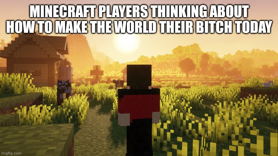 Let's see how I can terraform this land... | MINECRAFT PLAYERS THINKING ABOUT HOW TO MAKE THE WORLD THEIR BITCH TODAY | image tagged in minecraft,bitch,eminem | made w/ Imgflip meme maker