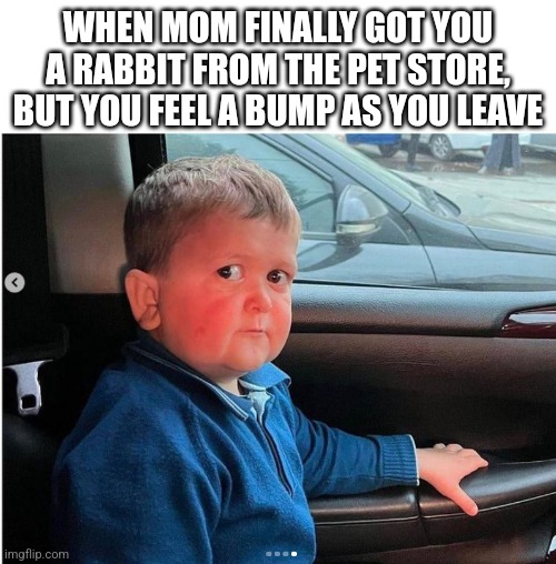 kid car | WHEN MOM FINALLY GOT YOU A RABBIT FROM THE PET STORE, BUT YOU FEEL A BUMP AS YOU LEAVE | image tagged in kid car,rabbit | made w/ Imgflip meme maker