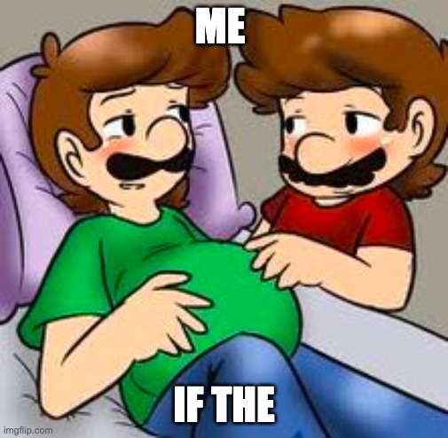 mario x luigi lemon | ME; IF THE | image tagged in super mario bros,mario,luigi | made w/ Imgflip meme maker