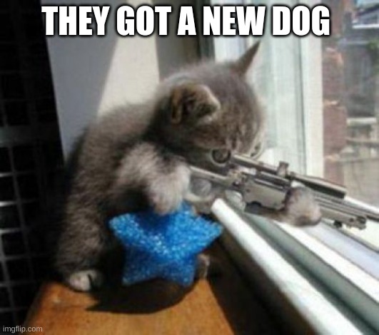 Cats with Guns | THEY GOT A NEW DOG | image tagged in cats with guns | made w/ Imgflip meme maker