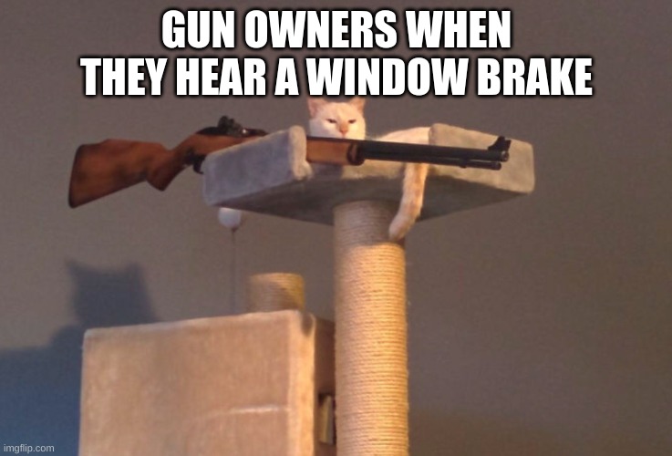 Cat with gun | GUN OWNERS WHEN THEY HEAR A WINDOW BRAKE | image tagged in cat with gun | made w/ Imgflip meme maker