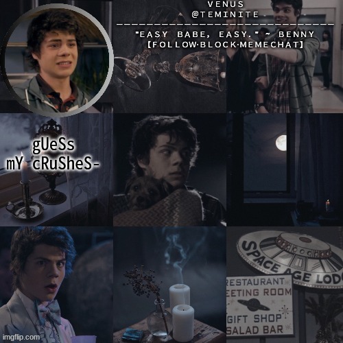 venus's benny temp | gUeSs mY cRuSheS- | image tagged in venus's benny temp | made w/ Imgflip meme maker