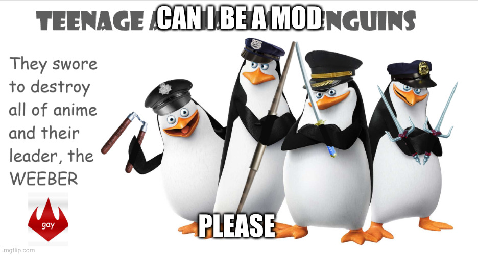 no naruto running too. Mod note: ask fak_u_lol | CAN I BE A MOD; PLEASE | image tagged in teenage anti-anime penguins | made w/ Imgflip meme maker