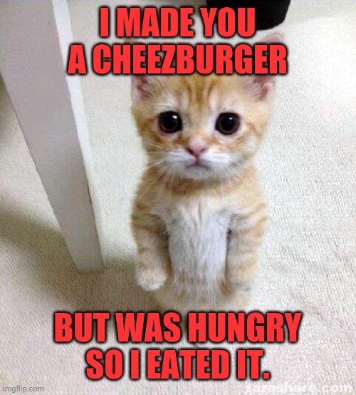 Cheezburger | I MADE YOU A CHEEZBURGER; BUT WAS HUNGRY SO I EATED IT. | image tagged in memes,cute cat,i can haz,cat can cook | made w/ Imgflip meme maker