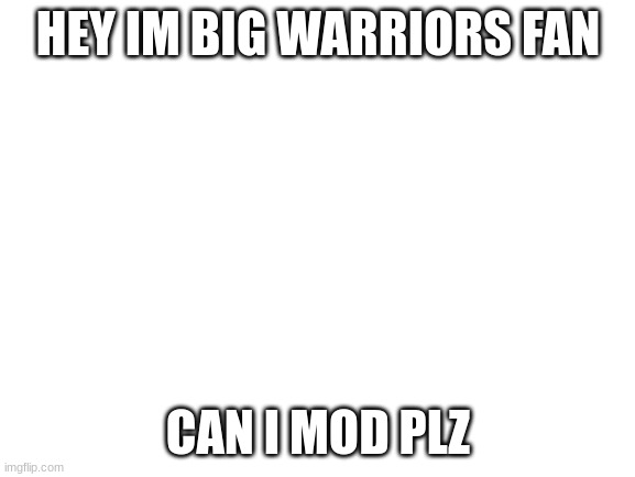 plz | HEY IM BIG WARRIORS FAN; CAN I MOD PLZ | image tagged in blank white template,moderators | made w/ Imgflip meme maker