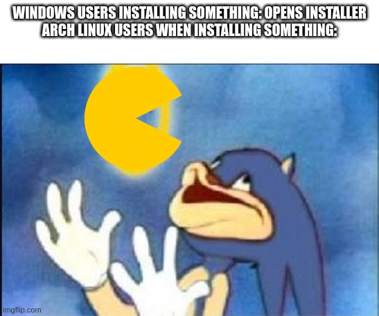 yet another linux meme | WINDOWS USERS INSTALLING SOMETHING: OPENS INSTALLER
ARCH LINUX USERS WHEN INSTALLING SOMETHING: | image tagged in sonic derp,linux,computers,computer,nerd | made w/ Imgflip meme maker