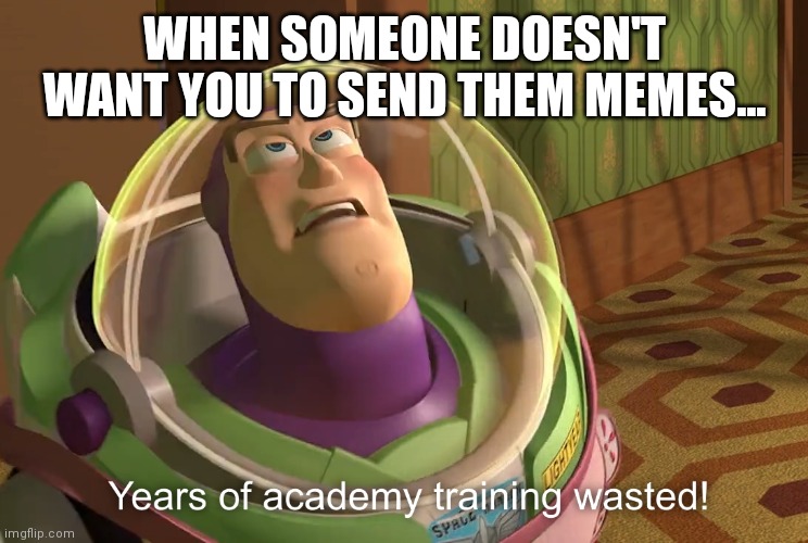 When someone doesn't like memes | WHEN SOMEONE DOESN'T WANT YOU TO SEND THEM MEMES... | image tagged in years of academy training wasted,memes,funny,wasted | made w/ Imgflip meme maker