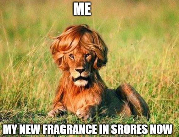 GET IT OUT NOW | ME; MY NEW FRAGRANCE IN SRORES NOW | image tagged in funny lion | made w/ Imgflip meme maker