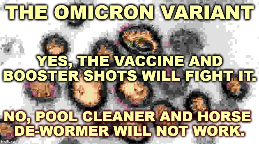 THE OMICRON VARIANT; YES, THE VACCINE AND BOOSTER SHOTS WILL FIGHT IT. NO, POOL CLEANER AND HORSE 
DE-WORMER WILL NOT WORK. | image tagged in covid-19,omicron,vaccine,anti vax,dead | made w/ Imgflip meme maker