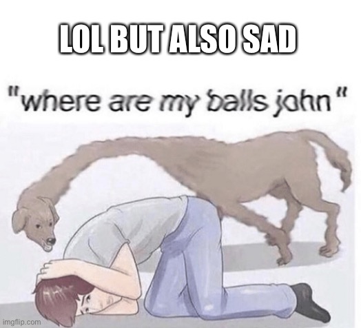 Where are my balls john. |  LOL BUT ALSO SAD | image tagged in where are my balls john,dog,balls | made w/ Imgflip meme maker