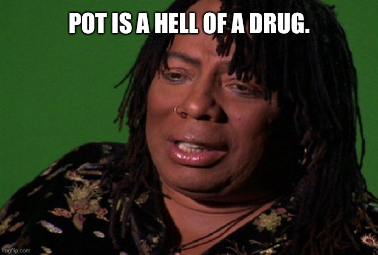 cocaine hell of a drug | POT IS A HELL OF A DRUG. | image tagged in cocaine hell of a drug | made w/ Imgflip meme maker