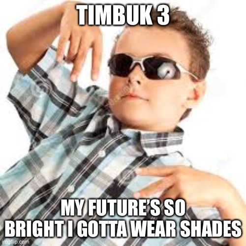 Timbuk 3 was good (for 1 song) | TIMBUK 3; MY FUTURE’S SO BRIGHT I GOTTA WEAR SHADES | image tagged in cool kid sunglasses,gotta wear shades,future | made w/ Imgflip meme maker