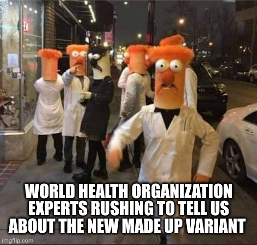 New Variant | WORLD HEALTH ORGANIZATION EXPERTS RUSHING TO TELL US ABOUT THE NEW MADE UP VARIANT | image tagged in who,covidiots | made w/ Imgflip meme maker