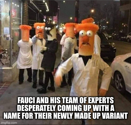 Fauci's Experts | FAUCI AND HIS TEAM OF EXPERTS DESPERATELY COMING UP WITH A NAME FOR THEIR NEWLY MADE UP VARIANT | image tagged in dr fauci,new variant | made w/ Imgflip meme maker