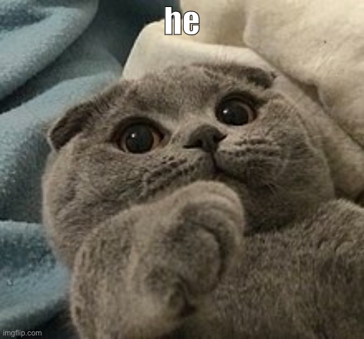 .-. | he | made w/ Imgflip meme maker
