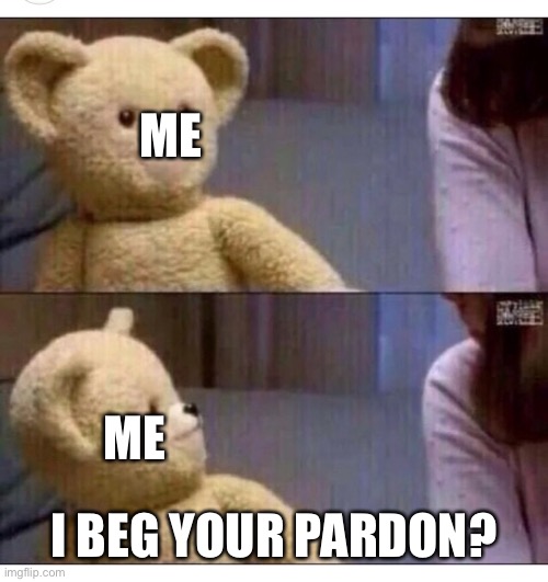 Wait what?? | ME I BEG YOUR PARDON? ME | image tagged in wait what | made w/ Imgflip meme maker