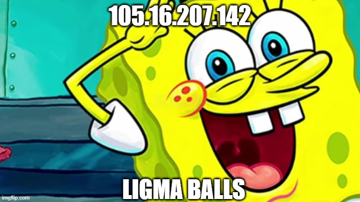 use incase of emergency | 105.16.207.142; LIGMA BALLS | image tagged in spongebob ip address,funny meme | made w/ Imgflip meme maker