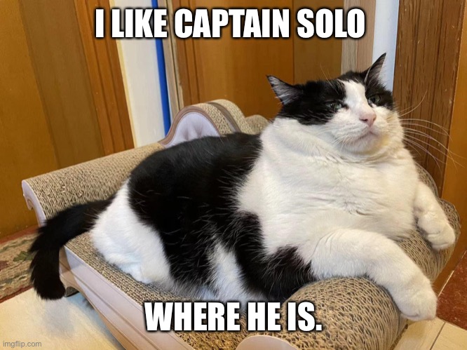 Jabba the Cat | I LIKE CAPTAIN SOLO; WHERE HE IS. | image tagged in jabba the cat | made w/ Imgflip meme maker