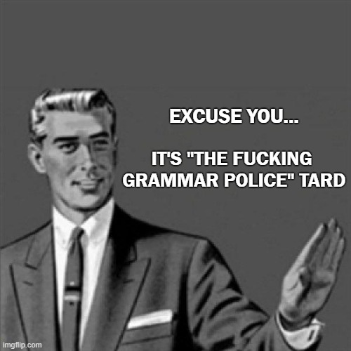 EXCUSE YOU... IT'S "THE FUCKING 
GRAMMAR POLICE" TARD | image tagged in correction guy | made w/ Imgflip meme maker
