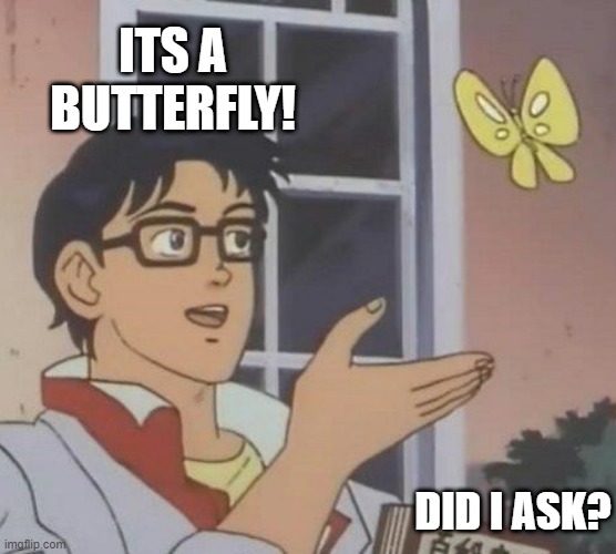 Is This A Pigeon Meme | ITS A BUTTERFLY! DID I ASK? | image tagged in memes,is this a pigeon | made w/ Imgflip meme maker