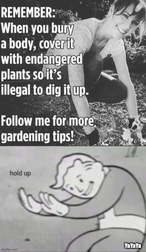 Mary, Mary | YaYaYa | image tagged in fallout hold up,gardening | made w/ Imgflip meme maker
