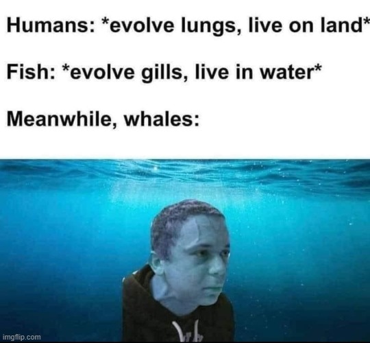 image tagged in repost | made w/ Imgflip meme maker