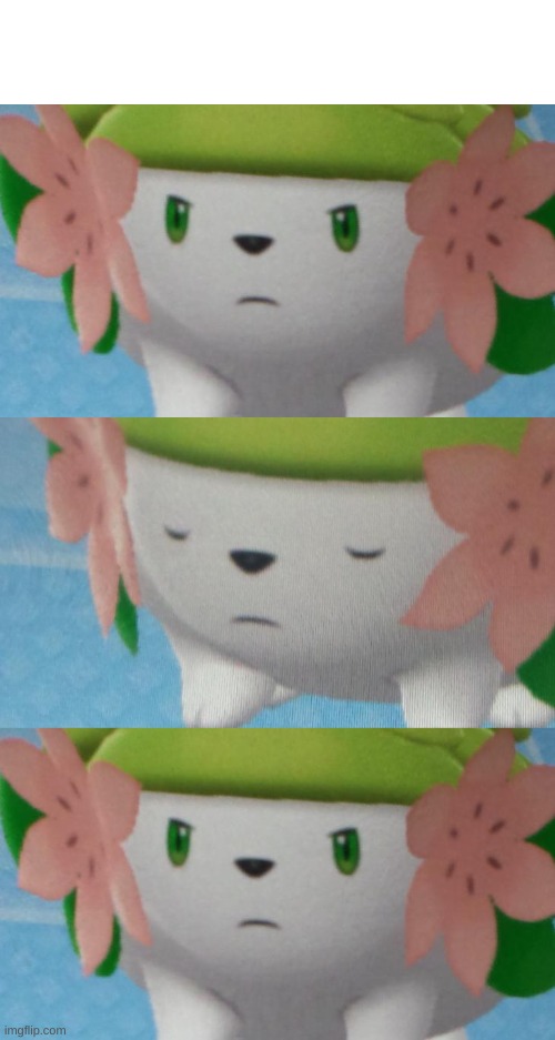 Shaymin blink meme template | image tagged in blank white template,shaymin,pokemon | made w/ Imgflip meme maker