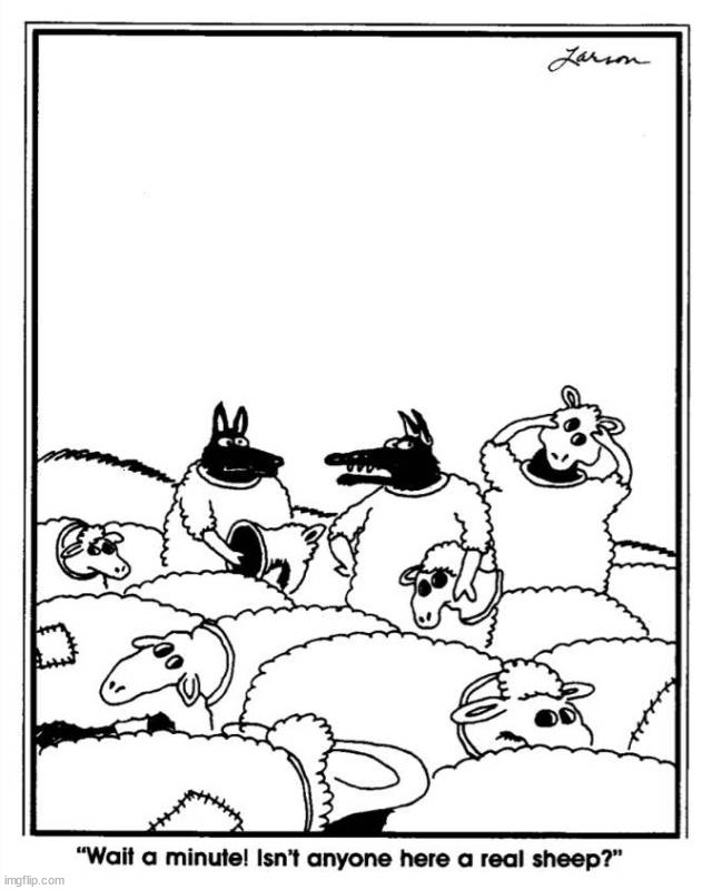 image tagged in comics/cartoons | made w/ Imgflip meme maker