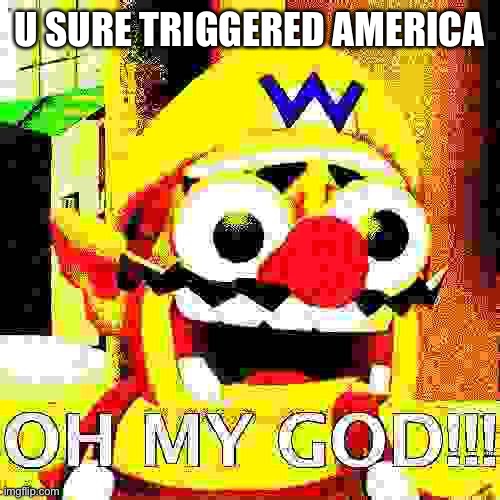 Deep fried oh my god | U SURE TRIGGERED AMERICA | image tagged in deep fried oh my god | made w/ Imgflip meme maker