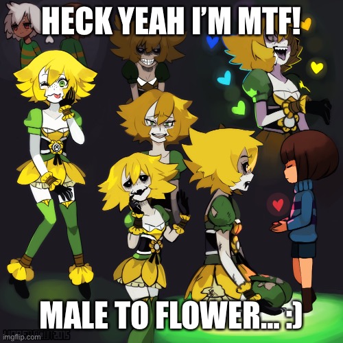 The Flowerphobia is real in today’s society | HECK YEAH I’M MTF! MALE TO FLOWER… :) | image tagged in mtf,male to flower,privilege,flowey,undertale,transphobic | made w/ Imgflip meme maker
