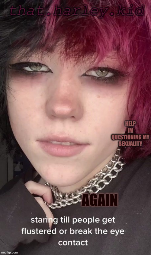 harley temp | HELP IM QUESTIONING MY SEXUALITY; AGAIN | image tagged in harley temp | made w/ Imgflip meme maker