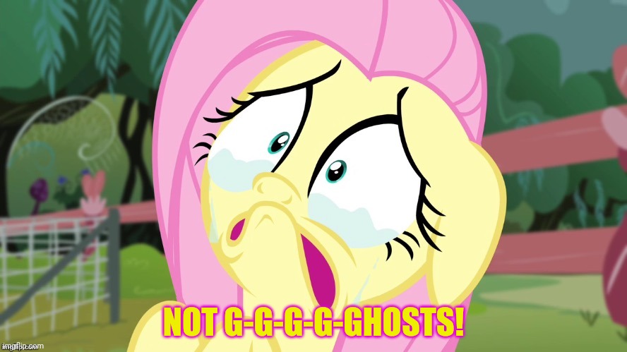 Crying Fluttershy | NOT G-G-G-G-GHOSTS! | image tagged in crying fluttershy | made w/ Imgflip meme maker