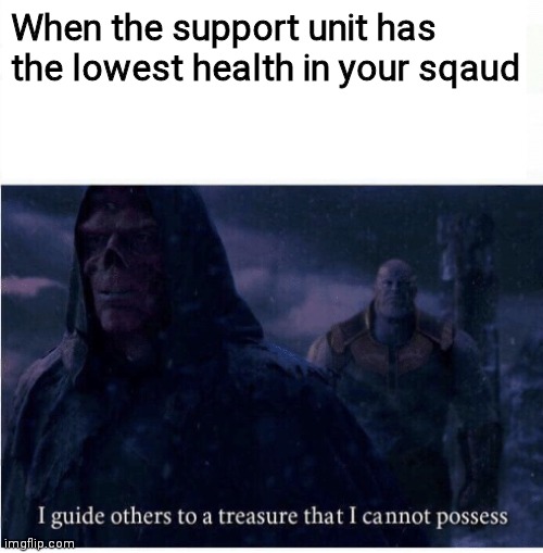 Maybe add some more Defense... | When the support unit has the lowest health in your sqaud | image tagged in memes | made w/ Imgflip meme maker